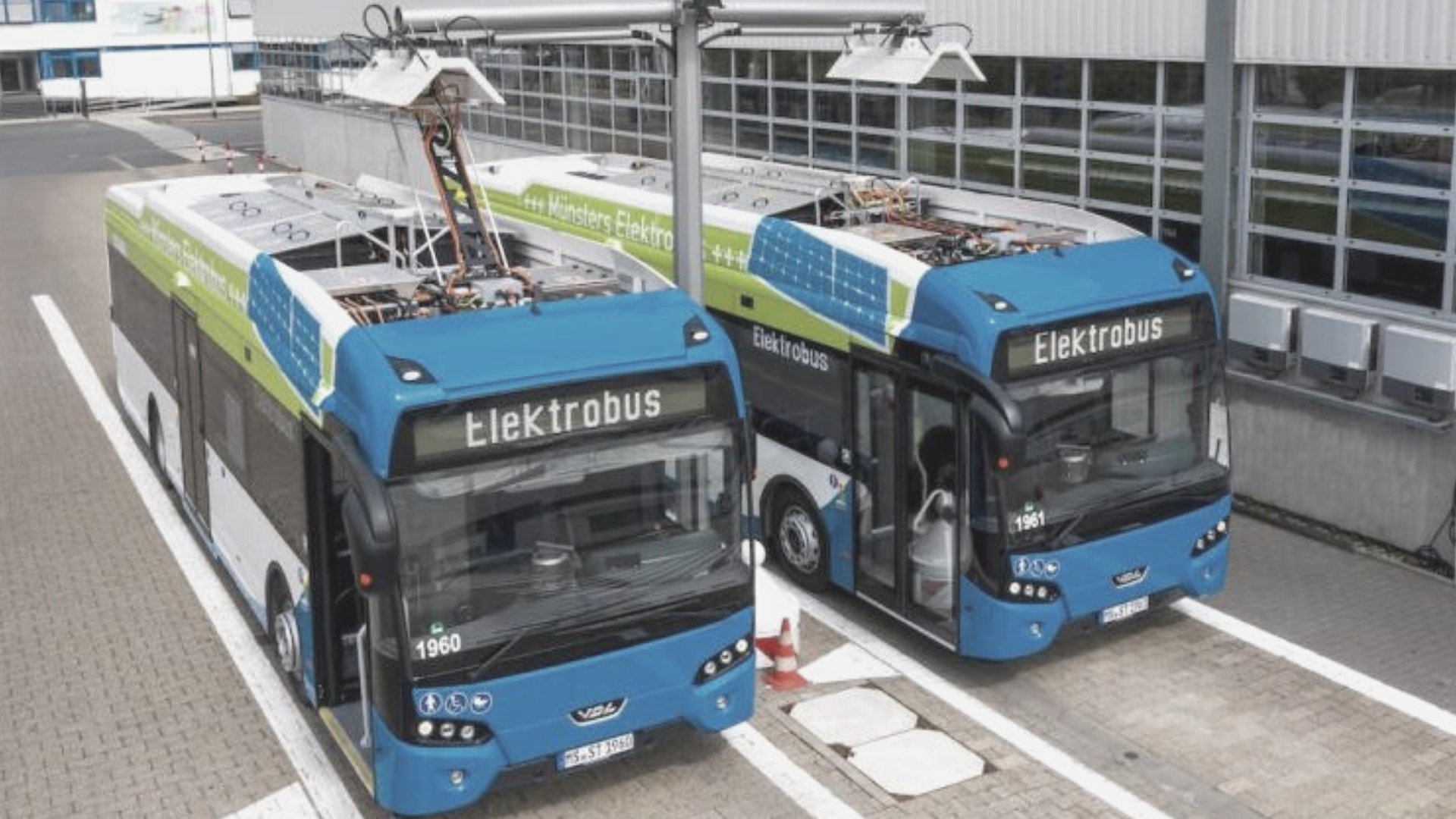 Electric Buses 