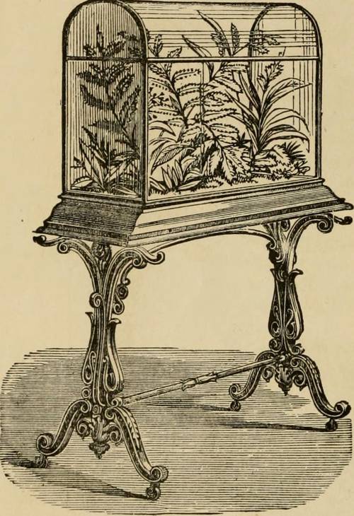 Anthropogenic Effects on Indoor Plant Growth