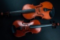 MUSCULOSKELETAL DISORDERS IN VIOLIN AND VIOLA PLAYERS: A QUESTIONNAIRE
