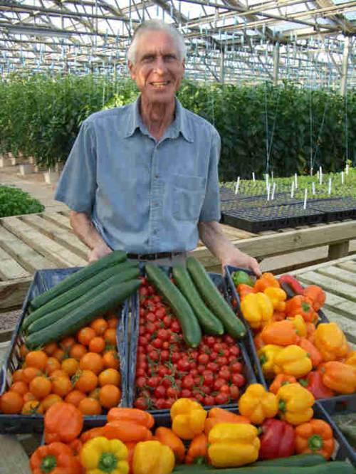 Companion Planting for Indoor Vegetables