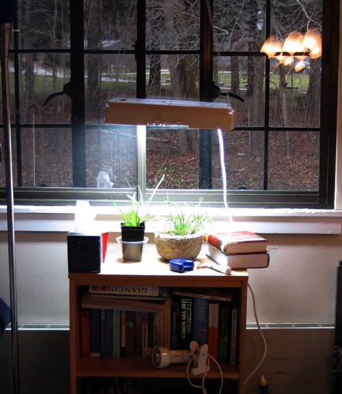 Energy-Efficient Indoor Plant Lighting