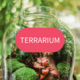 Terrarium