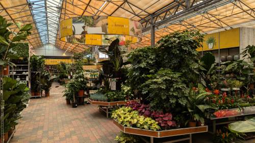 Floating Indoor Plant Displays