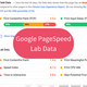 Google PageSpeed Lab Data