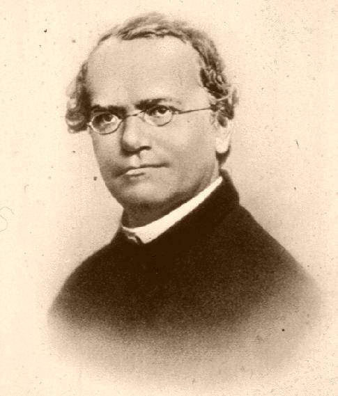 Gregor Mendel
