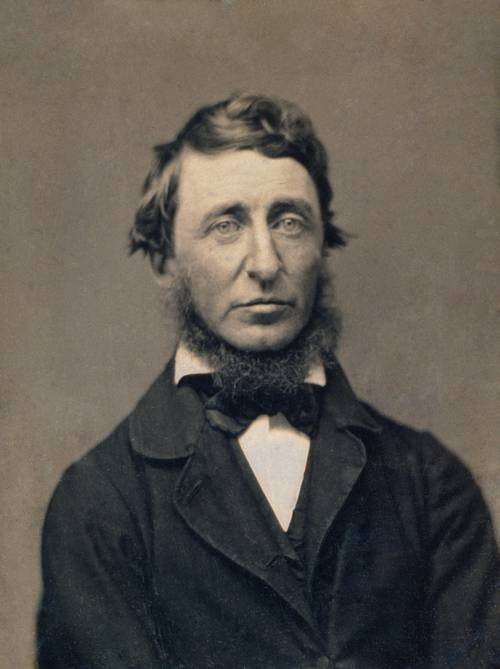 What is the transcendentalist movement?
