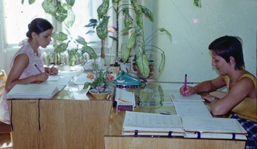 How Indoor Plants Affect Mood and Productivity
