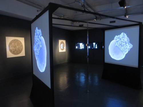 Impact of Digital Art in Traditional Museums