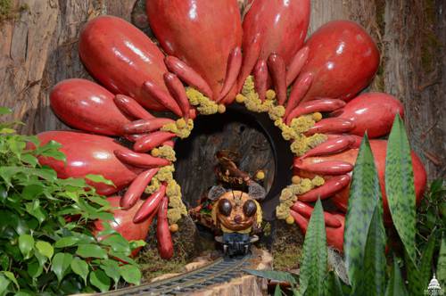 Indoor Edible Fruit Plant Pollination
