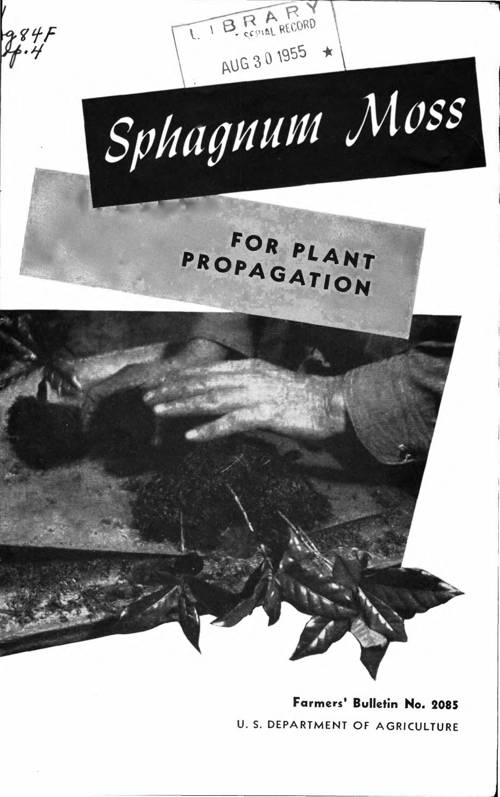 Indoor Moss Propagation Techniques