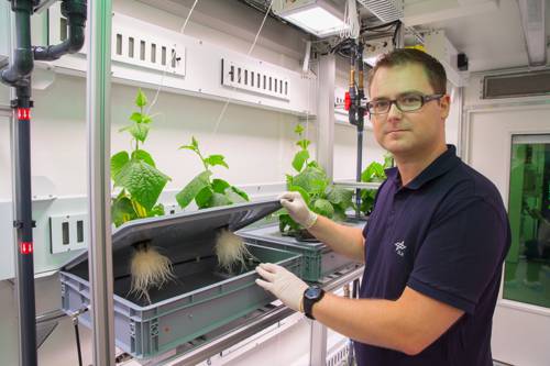Indoor Plant Aeroponics Systems