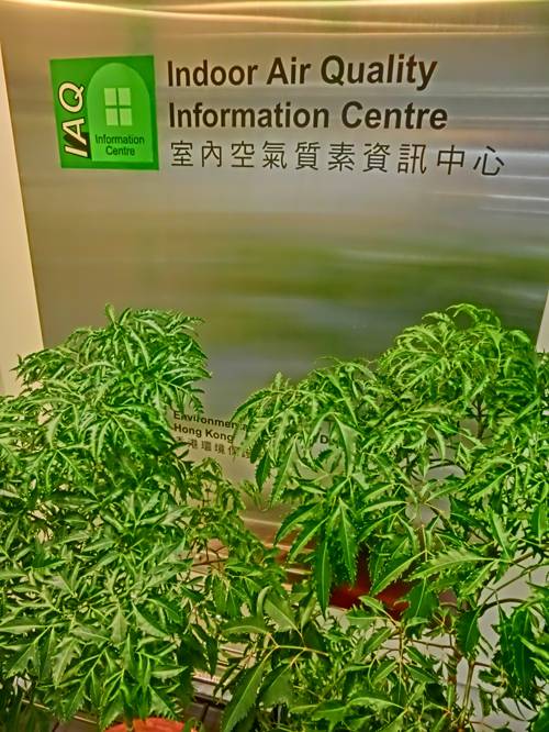 Indoor Plant Air Quality Management