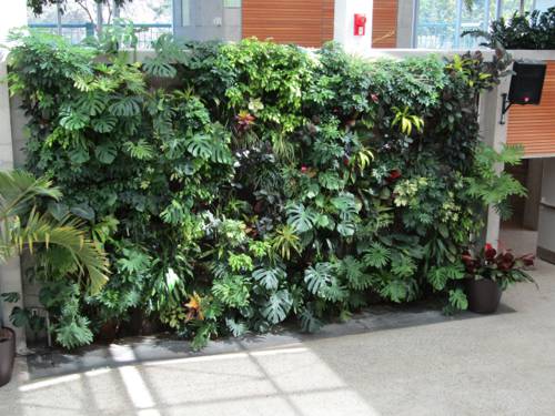Indoor Plant Biofiltration Systems
