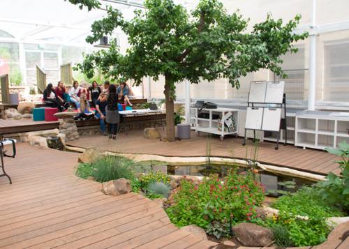 Indoor Plant Biophilic Design