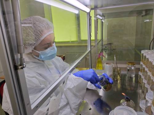 Indoor Plant Biotechnology Advancements
