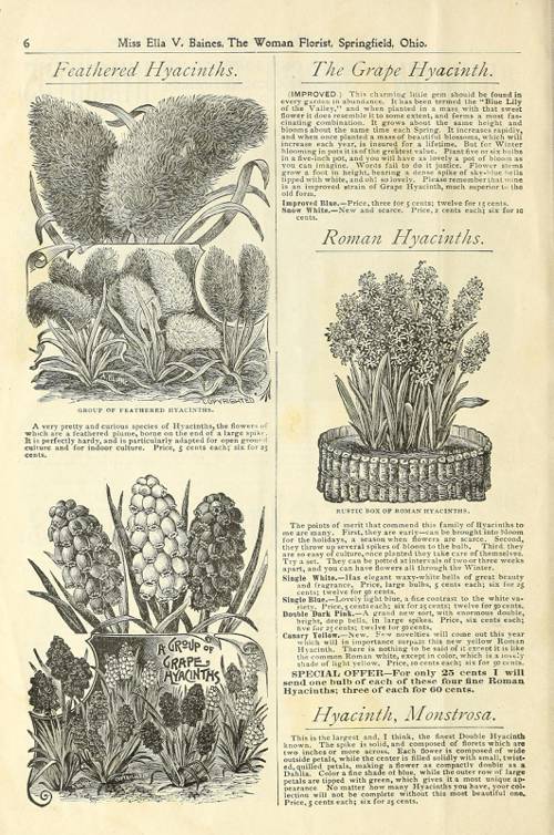 Indoor Plant Cold Weather Care