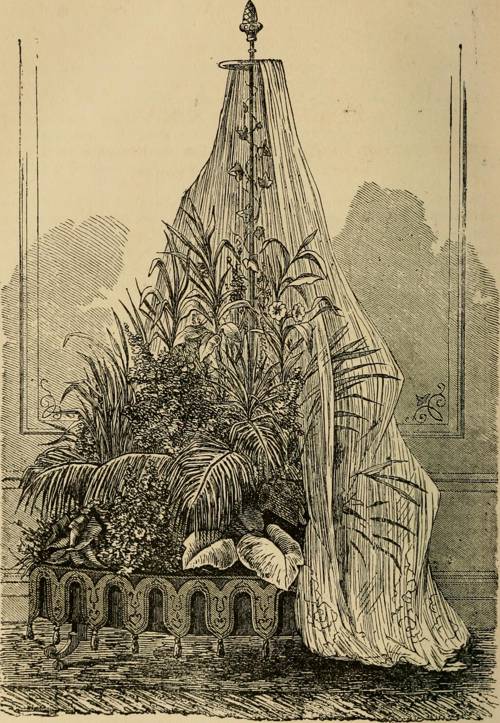 Indoor Plant Floral Scent Profiles