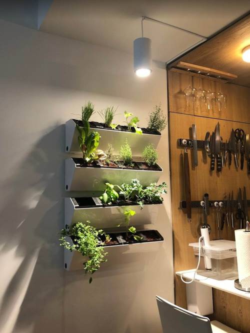 Indoor Plant Growth Light Technology Advances