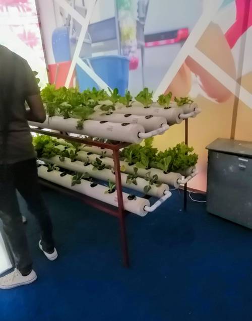 Indoor Plant Growth Stimulation Technologies