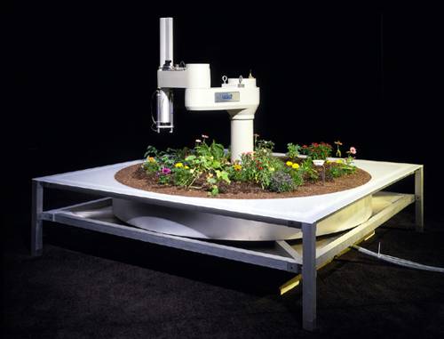 Indoor Plant Interactive Art Installations