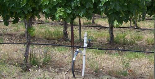 Indoor Plant Irrigation System Comparisons