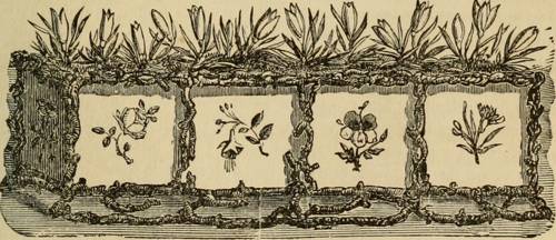 Indoor Plant Phytohormone Management
