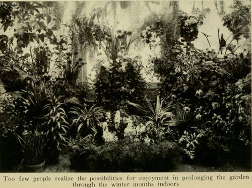 Indoor Plant Regeneration Methods