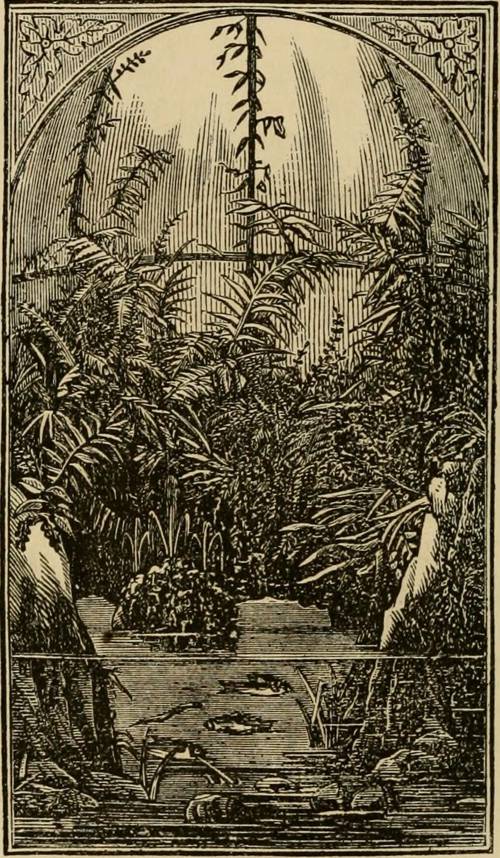 Indoor Plant Soil Carbon Sequestration