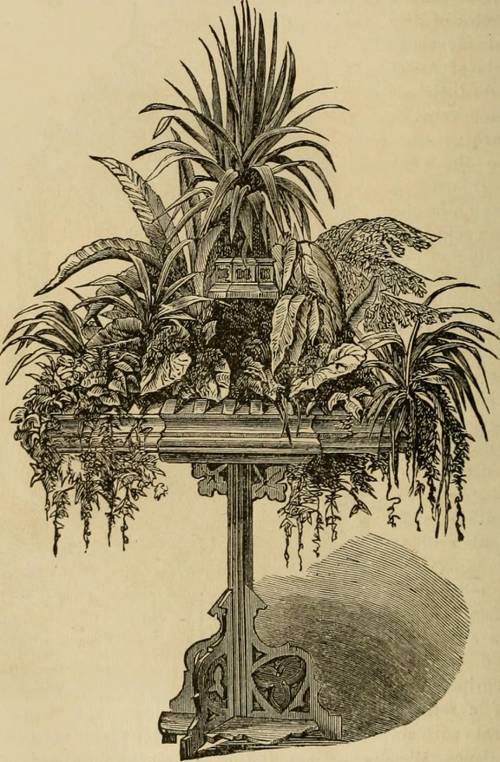 Indoor Plant Temperature Preferences