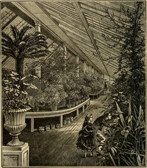 Indoor Plant Understory Layer Design
