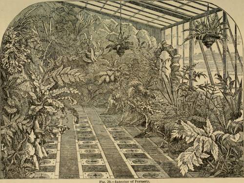 Indoor Plant Water Hardness Considerations