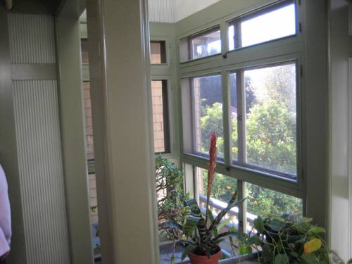 Indoor Plant Water pH Regulation