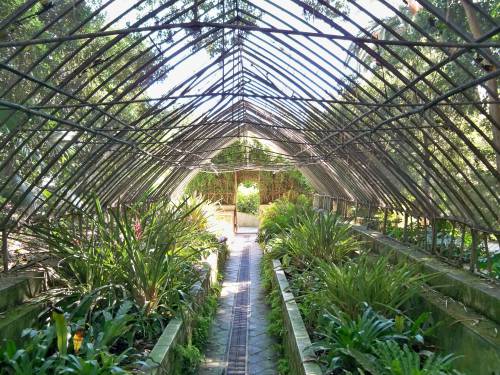 Indoor Plant Water Stress Adaptations