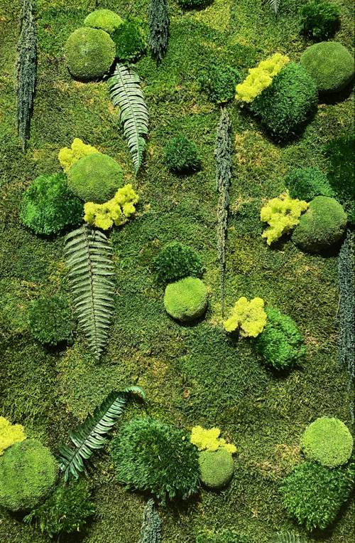 Indoor Vertical Moss Gardens