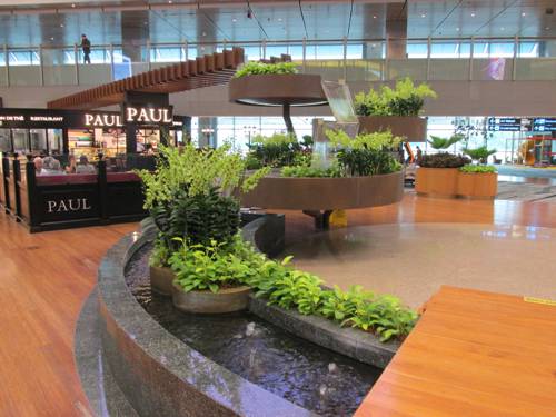 Indoor Water Feature Plant Compatibility
