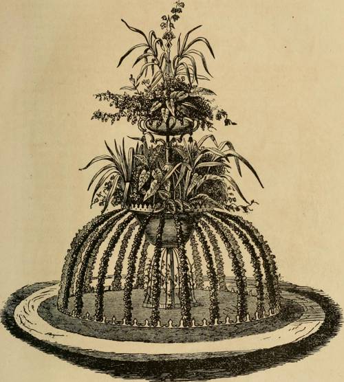 What methods can be used to propagate wildflowers indoors?