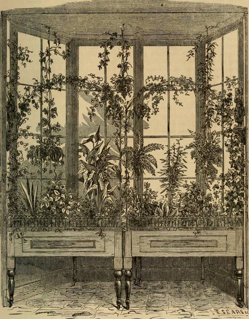 Integrating Indoor Plants in Art and Aesthetics