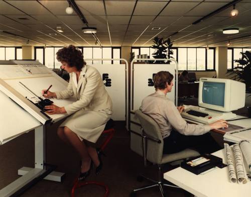 Integrating Indoor Plants in Low-Light Office Spaces