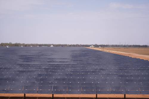 Integrating Indoor Plants with Renewable Energy Sources