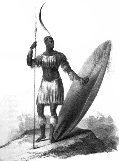 Where was Shaka Zulu born?