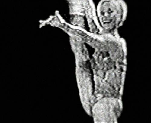 The Role of Dance Film in Contemporary Cinema
