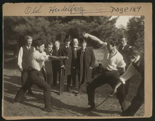 The Role of Fencing in Performing Arts