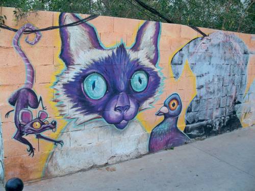 The Role of Graffiti Murals in Urban Regeneration
