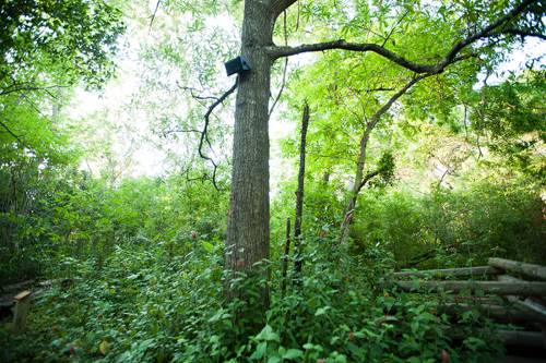 The Role of Sound Installation Art in Contemporary Spaces
