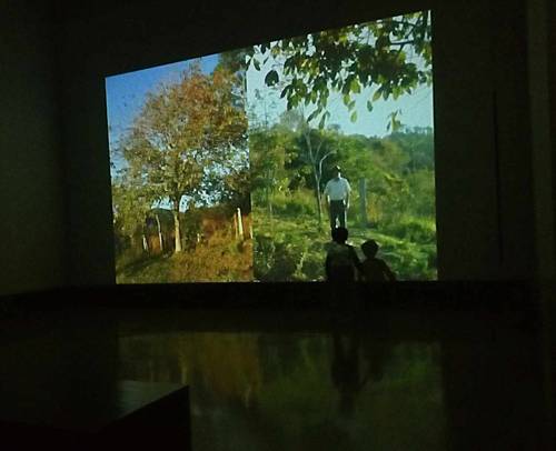The Role of Video Art in Contemporary Culture