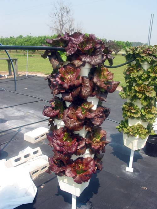 How does a vertical hydroponic system work indoors?