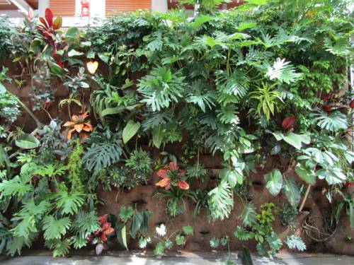 Vertical Indoor Shade Gardens